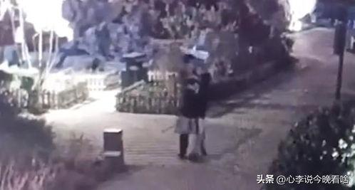 临沂吃瓜视频完整版,揭秘背后真相,带你领略民间趣味