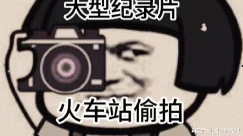 吃瓜老实人接盘视频大全,笑料百出,揭秘网络恶搞文化