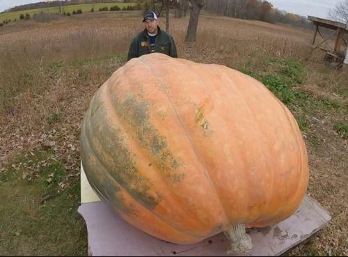 吃瓜视频吃吐了,小心“吃吐”了！揭秘网络视频的“消化”之道