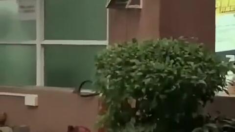 武安最近吃瓜新闻视频曝光,视频曝光揭示惊人内幕