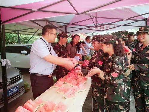 一群吃瓜观众围观视频,吃瓜群众热议视频背后的故事