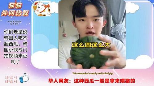 拍吃瓜视频怎么拍,轻松制作热门短视频教程