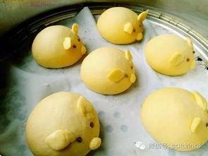 吃瓜小猪猪视频,揭秘娱乐圈那些事儿