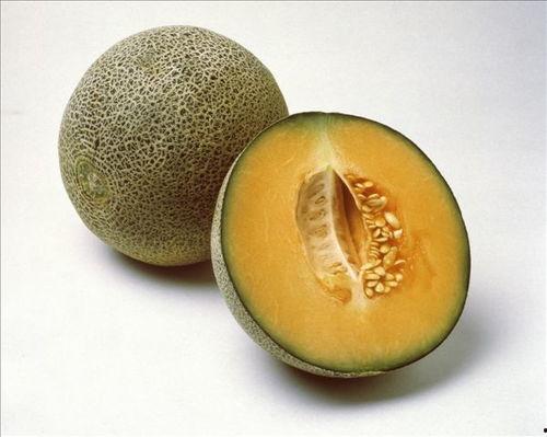 自动吃瓜视频教程,轻松掌握瓜界潮流制作技巧