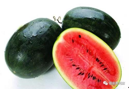 吃瓜协会会长黑成果视频,一场视频引发的狂欢