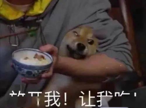 带你吃瓜搞笑视频医生,医生视角下的“带你吃瓜搞笑视频”揭秘