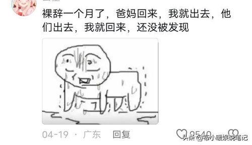 给朋友分享吃瓜视频,笑料百出！