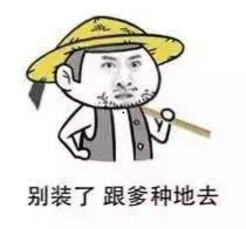 吃八阳瓜视频搞笑段子,笑料百出，欢乐无限