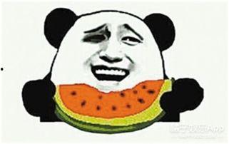 吃瓜群众粉丝56个视频,揭秘吃瓜群众粉丝背后的故事