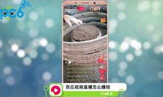 吃瓜视频如何直播赚钱,轻松上手，月入过万不是梦