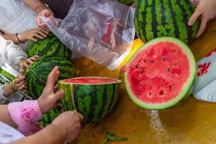 临沂吃瓜视频,揭秘当地特色美食与民间风情