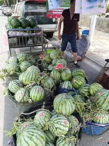 郴州吃瓜事件真相视频,揭秘真相背后的惊人内幕