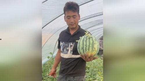 吃瓜视频让人心疼的