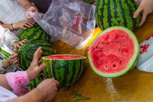 陕西吃瓜视频大全集,吃瓜视频大全集带你领略地道风味