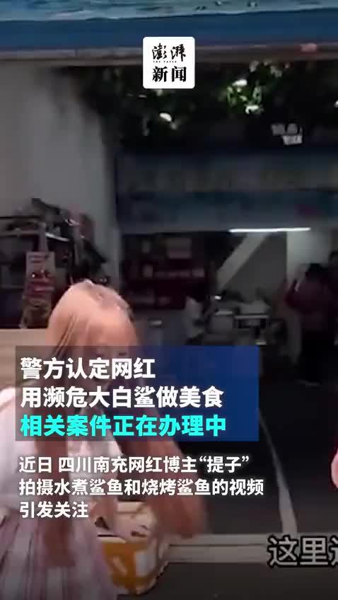 白鲨吃瓜事件视频在线观看,海洋霸主的新食趣